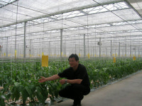 [전남]빨.주.노.초...친환경 파프리카 맛보세요!