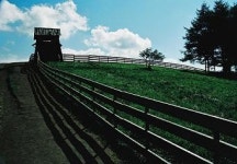 목가적인 초원의 한가로이 노니는 양떼들~