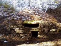 [강원]체험의 숲을 아시나요?