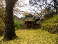 <161>덕동(德洞)마을, 찬란한 가을 숲에서