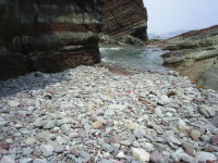사랑 하고 싶은 사람은 암남공원으로 오라