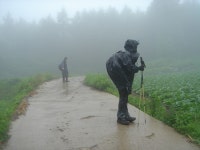 <기고문>백두대간이여!  민족정기여!