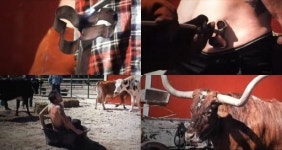 미국판 무한도전…지상 최대 무모한 도전!