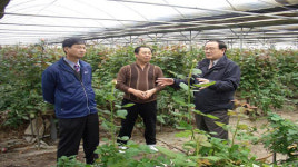 [경기] 고양시 일산서구, 농업현장 애로사항 수렴