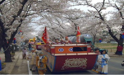 [전남] 남도 봄꽃축제 구경오세요!