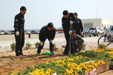 [강원] <포토뉴스>해경 함정 전용부두에 녹색 물결 가득