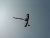 [경기] 광교산 벚꽃맞이 가족들 모두 한마음 됐다!