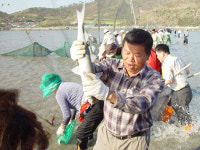 [전남]진도 뽕할머니를 만나보시렵니까^^