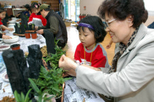 [경기]노인과 어린이가 함께하는 세대간 원예체험 활동