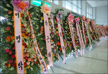 한목소리로 기적 이뤘다 평가받은 데일리안 세돌