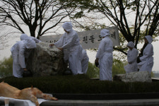 [경기]고양시 일산 백석동 흰돌제 열려