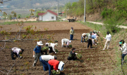 [경기]저희도 농촌일 잘해요