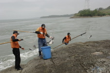 [전남]해남 울돌목 에 가면 뜰채로 숭어를 잡는다????