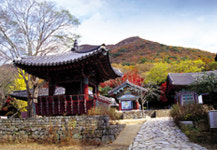 전국 최고의 등산코스 진도 첨찰산,  황금 물결 장관.