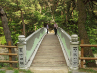 [전남]차의 시배지 화엄사 장죽전을 일구는 박일권