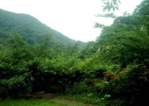 [전남]자연이 차린 밥상 에너지가 넘친다.