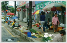 [강원]동해, 불법노점상 특별단속 도시미관 확보