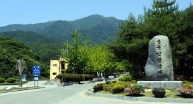 [경기]양평군, 다음달 3일부터 용문산 관광지 입장료 폐지