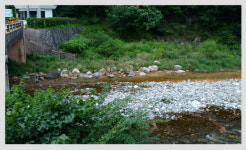 [강원]삼척 신기면 환선굴 입구 무릉천 오염