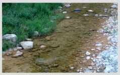 [강원]삼척 신기면 환선굴 입구 무릉천 오염