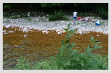 [강원]삼척 신기면 환선굴 입구 무릉천 오염
