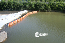 [강원]‘알펜시아’ 공사현장 흙탕물 저감노력 기울여