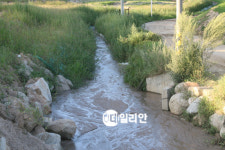 [강원]‘알펜시아’ 공사현장 흙탕물 저감노력 기울여