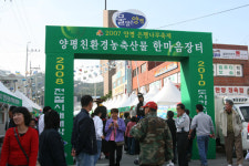양평군 ‘2007 양평 은행나무축제 및 친환경 농산물 장터’ 성료