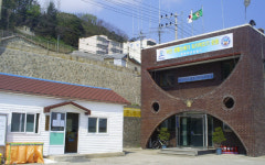 [강원]해양쓰레기 직접 내손으로...