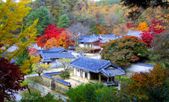 [포토]가을 빛깔에 물든 도산서원