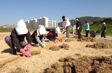 양산천 둔치 일대 잔디광장 조성