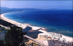 장사·고래불 해수욕장, 전국 우수 해수욕장으로 선정