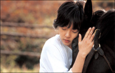 [TV영화] 가슴 따뜻한 가족 드라마 ‘풍성’