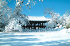 설 연휴, 삼척 그곳에 가고 싶다