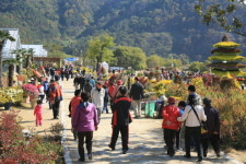 함평 자연생태공원 관광객 북적