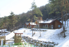 봉수산 자연휴양림으로 놀러 오세요