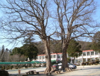 개교 100주년을 맞은 장성성산초등학교