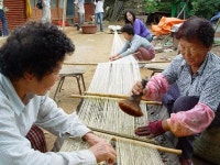 보성삼베 명품화 청신호