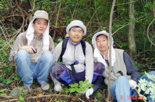 <전통심마니들만의 구전(9)>어인마니는 아무생각없을때 산삼이 보인다