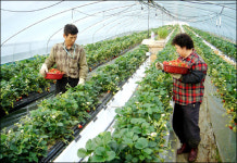 ‘구미 DREAM’, 꿈이 아니다