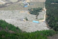 향매농원 김정애 씨의 매실 사랑 이야기