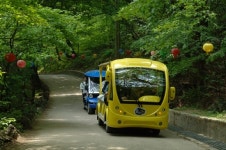 양평 용문산관광지 전동셔틀카 등장