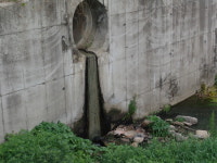 철원 육단리 군필승회관 오수 무단방류 ‘심각’