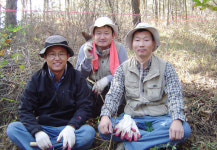 깊은산 속 산애산삼 | [40]산삼으로 장난치기(2)