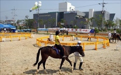 ‘신상 데이트’ 코스로 화성 전곡항 어때요?