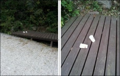 청정지역 지리산에 종이컵 카페베네가?