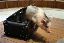 [경기 이천]3월의 가볼만한 곳③