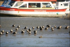 [전남 순천]3월의 가볼만한 곳⑤