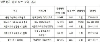 맹모의 힘, 길 하나 차이로 집값 억