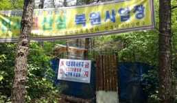 한서야생산삼유통센타 | 무심코 채취한 산삼, 절도범 몰릴 수 있어 '주의'